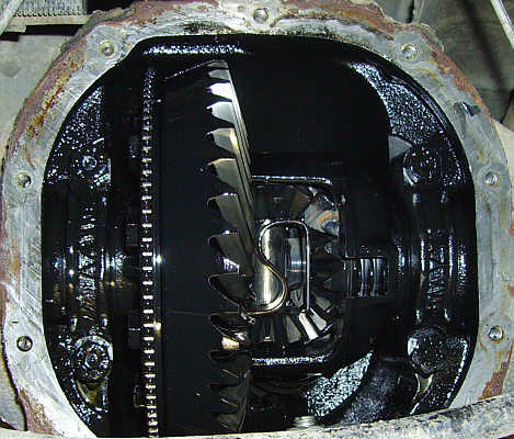The Ho - Rear Differential