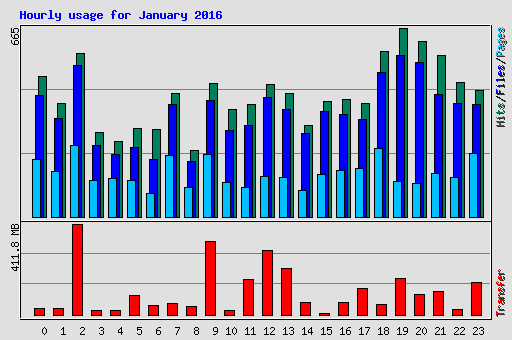 Hourly usage for January 2016