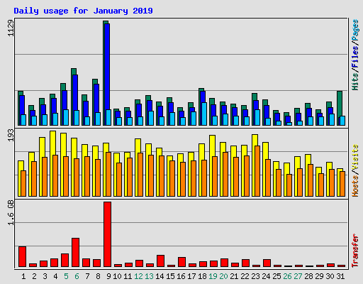 Daily usage for January 2019