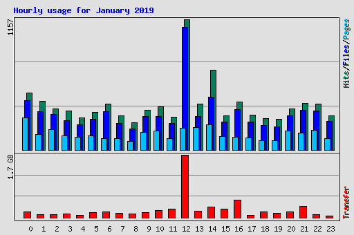 Hourly usage for January 2019
