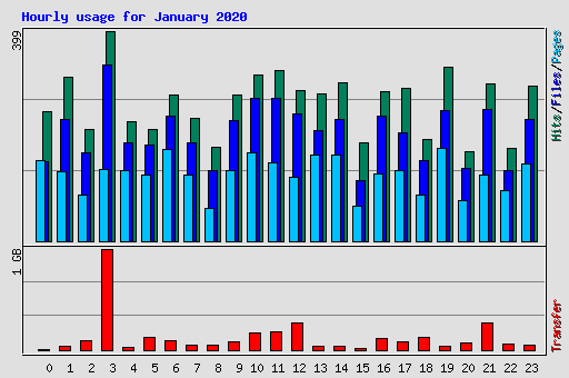 Hourly usage for January 2020