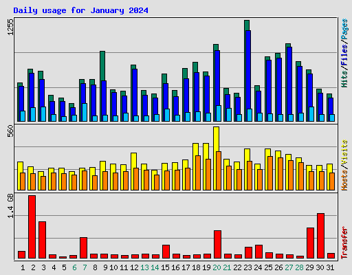 Daily usage for January 2024