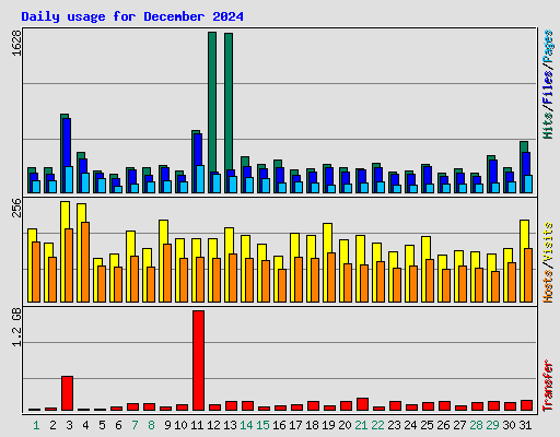 Daily usage for December 2024