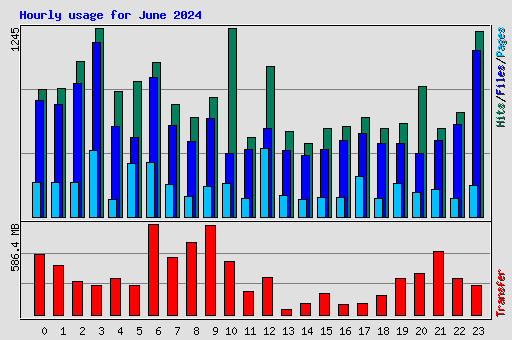 Hourly usage for June 2024