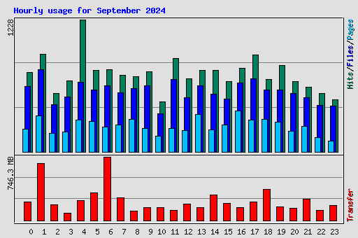 Hourly usage for September 2024