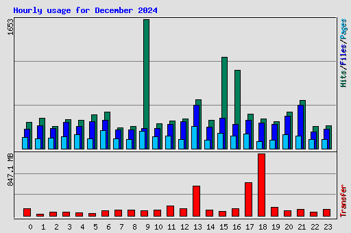 Hourly usage for December 2024
