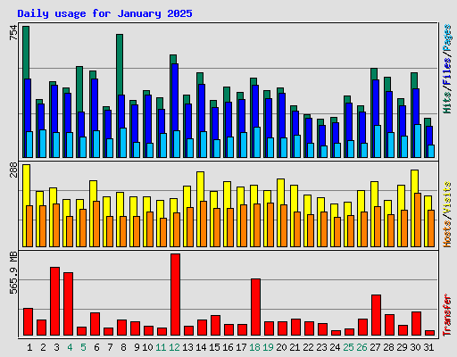 Daily usage for January 2025