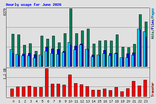 Hourly usage for June 2026